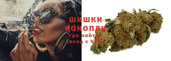 стаф Горняк