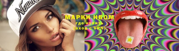стаф Горняк