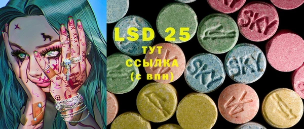 стаф Горняк