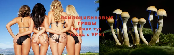 мяу мяу мука Горнозаводск