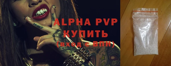 стаф Горняк