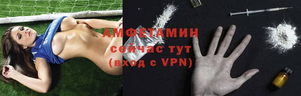 стаф Горняк