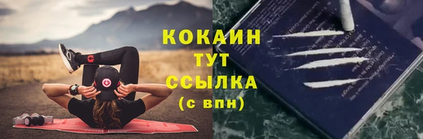 стаф Горняк