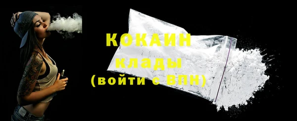 стаф Горняк