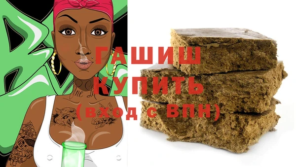 стаф Горняк