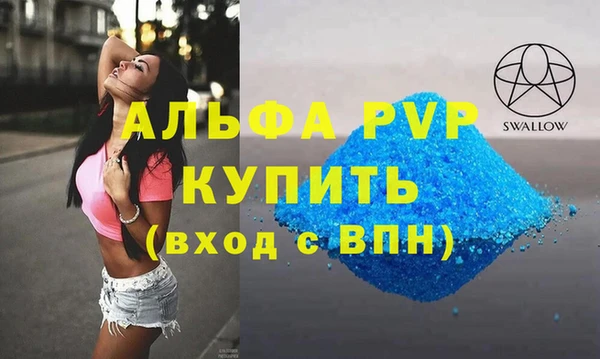 стаф Горняк
